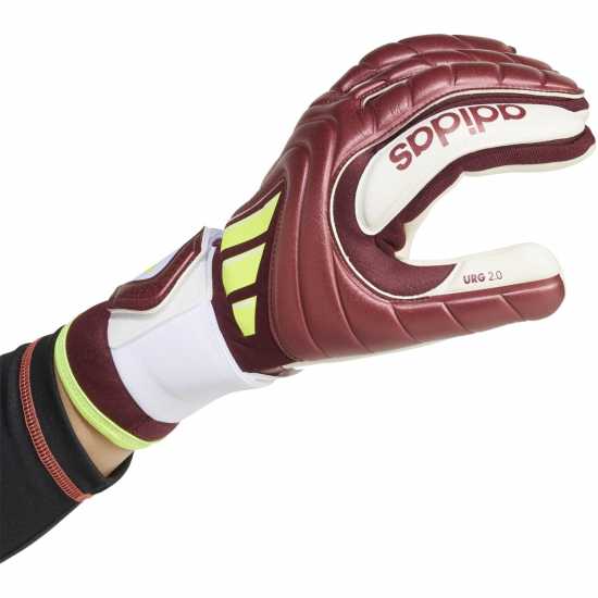 Вратарски ръкавици и облекло Adidas Вратарски Ръкавици Copa Pro Goalkeeper Gloves Adults Червено/Бяло Adidas Вратарски Ръкавици Copa Pro Goalkeeper Gloves Adults Червено/Бяло Вратарски ръкавици и облекло