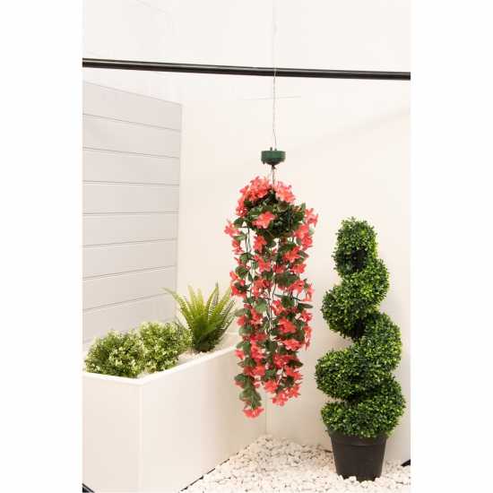 Solar Hanging Primrose Flower Lights - Pink  Градина