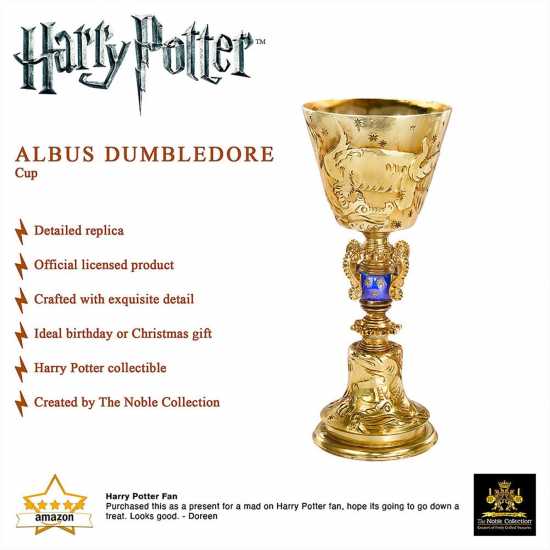 Dumbledore Cup  Трофеи