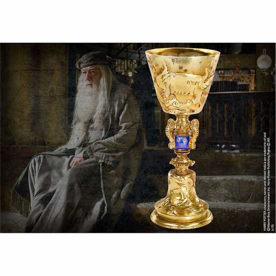 Dumbledore Cup  Трофеи
