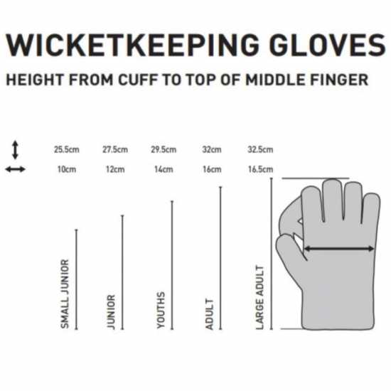 Gunn And Moore & Moore Aion 300 Wk Glove Adult  