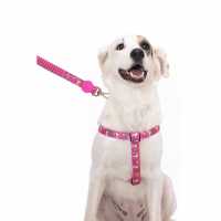 Snoopy Traditional Pink Flower Leash