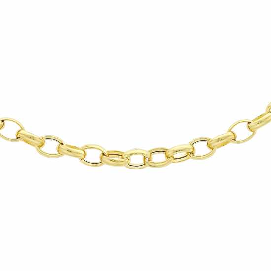 9Ct Gold Oval Belcher Chain  - Бижутерия