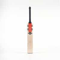 Gray Nicolls Shockwave 2.0 200 Cricket Bat  
