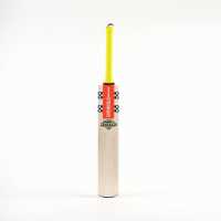 Gray Nicolls Tempesta 1.0 Warrior Junior Cricket Bat  