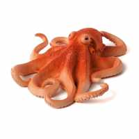 Animal Planet Mojo Sealife Octopus Toy Figure, Thr