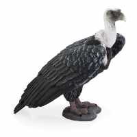 Animal Planet Wild Life & Woodland Griffon Vulture