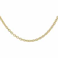 Sterling Silver Gold Plater Belcher Chain