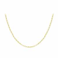 9Ct Gold Oval Belcher Chain