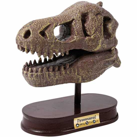 T-Rex Museum Skull  Канцеларски материали