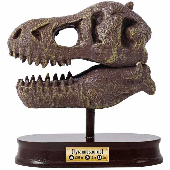 T-Rex Museum Skull  Канцеларски материали