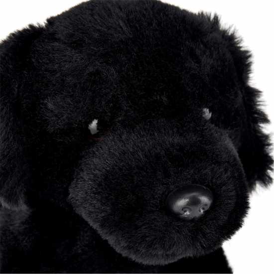 Подаръци и играчки Zappi Co Zappi Co Soft Toy Black Labrador 20cm Zappi Co Zappi Co Soft Toy Black Labrador 20cm Подаръци и играчки