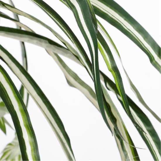 Mica Chlorophytum Green In Pot Stan Grey  Градина