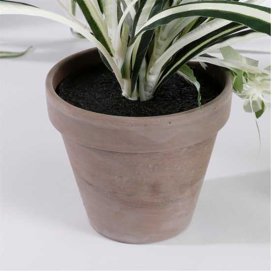 Mica Chlorophytum Green In Pot Stan Grey  Градина