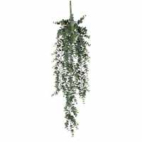 Mica Eucalyptus Hanging Green  Градина