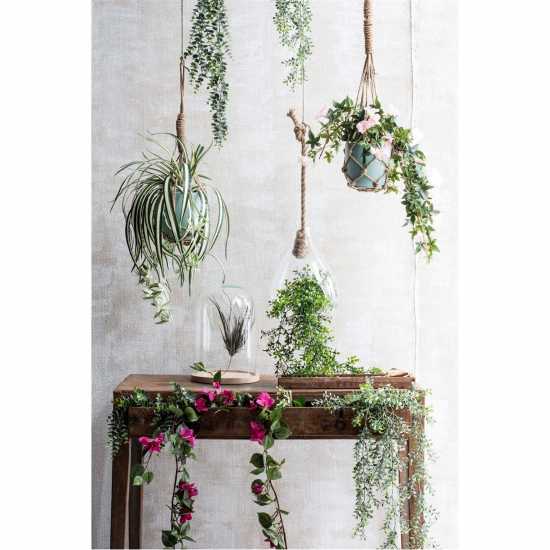 Mica Eucalyptus Hanging Green  Градина