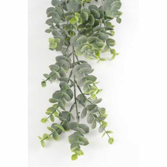 Mica Eucalyptus Hanging Green  Градина