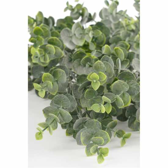 Mica Eucalyptus Hanging Green  Градина