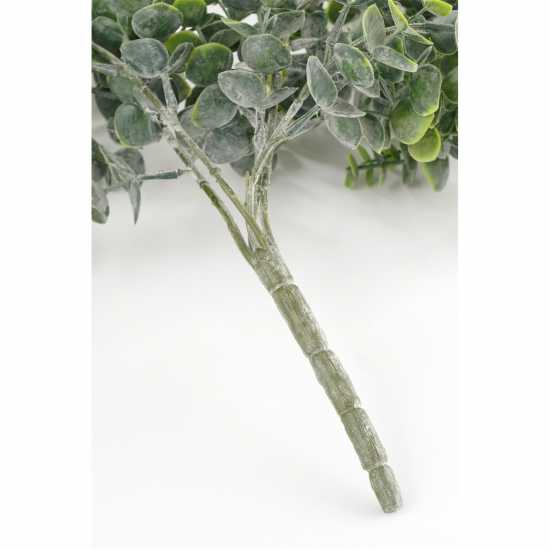 Mica Eucalyptus Hanging Green  Градина