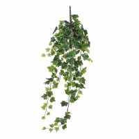 Mica Ivy Hanging Green Variegated  Градина