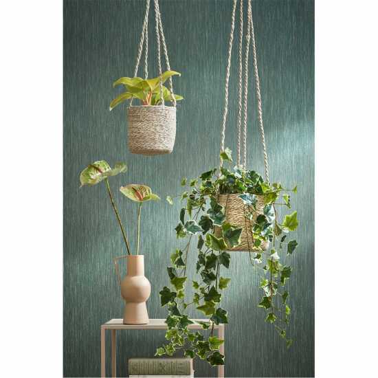 Градина Mica Ivy Hanging Green Variegated Mica Ivy Hanging Green Variegated Градина