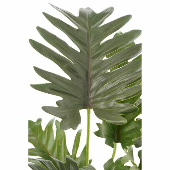 Mica Philodendron Green In Pot Stan Grey  Градина