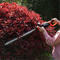 Force 600W Hedge Trimmer