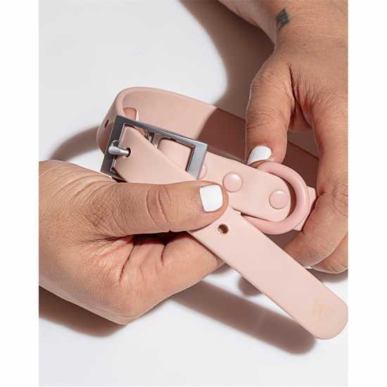 Wild One Dog Collar Розово Магазин за домашни любимци