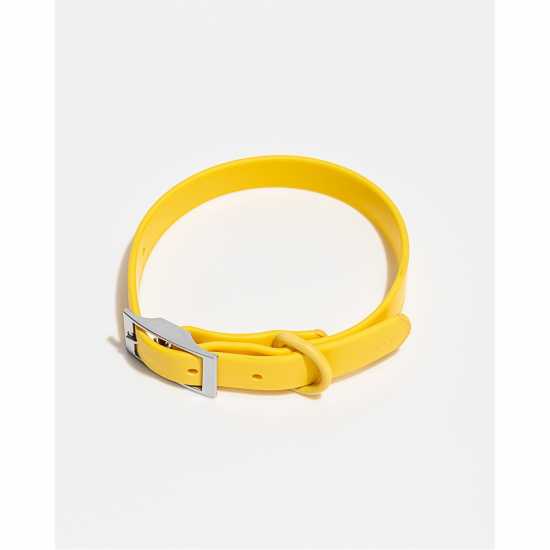 Магазин за домашни любимци Wild One Dog Collar Масло Wild One Dog Collar Масло Магазин за домашни любимци