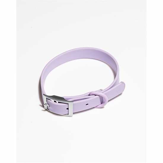 Wild One Dog Collar Сиренево Магазин за домашни любимци