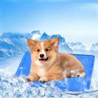 Waggy Tails Cooling Mat  Магазин за домашни любимци