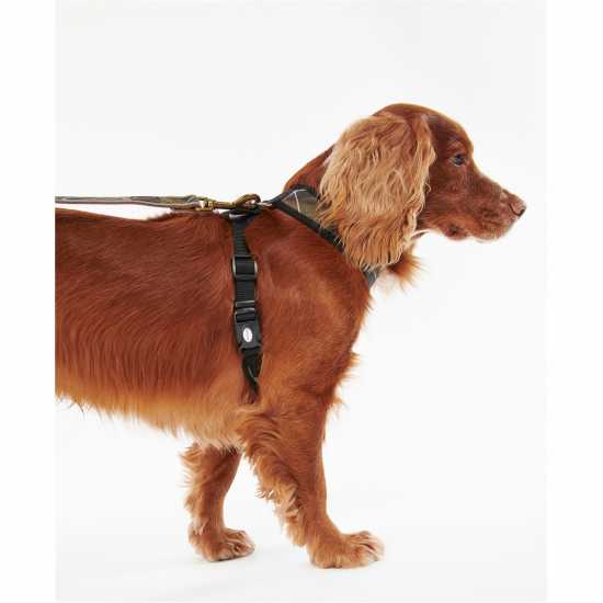 Barbour Tartan Dog Harness  