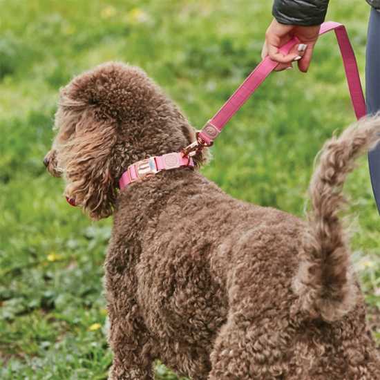 Weatherbeeta Dog Collar Розово 