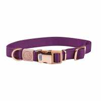 Weatherbeeta Elegance Dog Collar
