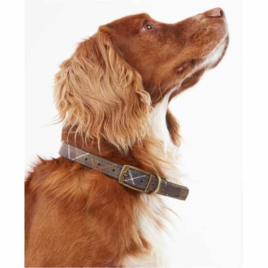 Barbour Tartan Dog Collar  