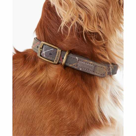 Barbour Tartan Dog Collar  