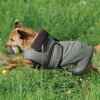 Weatherbeeta Tweed Dog Coat  