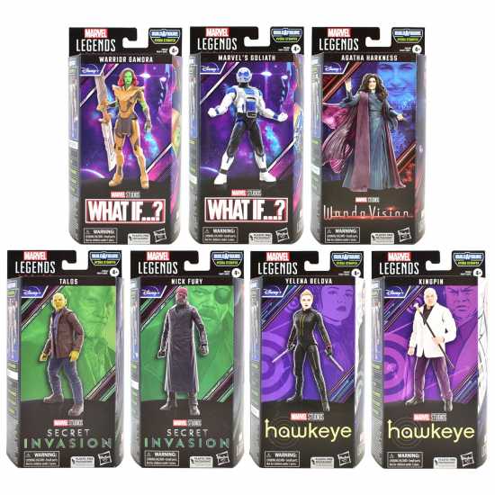 Marvel Legends Series Marvel Studio Fig  